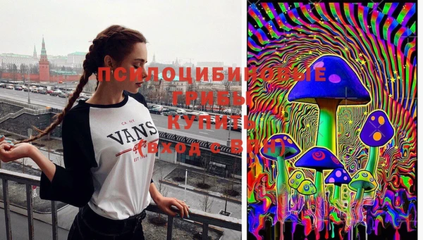 герыч Алзамай